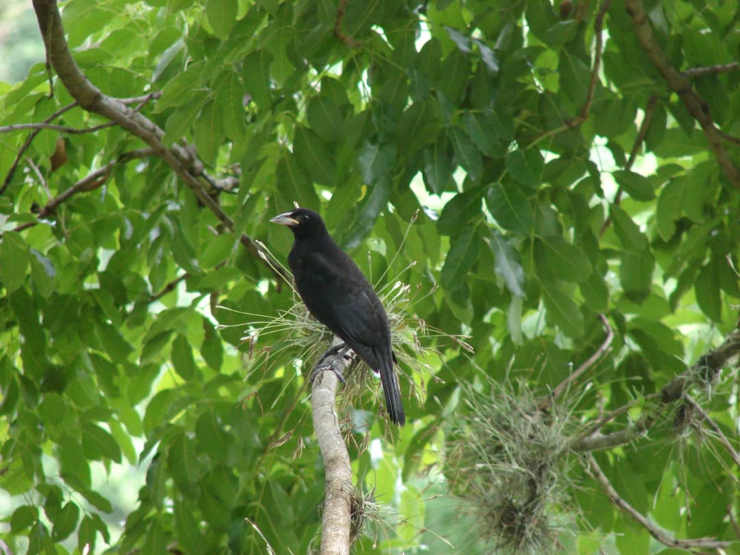 Imagen del artículo 14